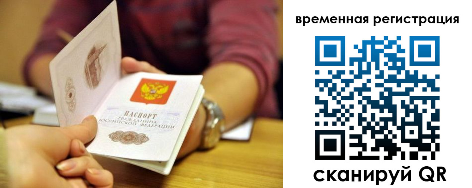 прописка в Сафоново